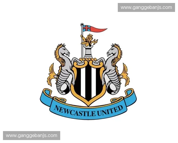 纽卡斯尔联足球俱乐部崛起背后的战略布局与未来发展展望